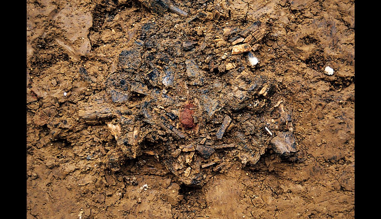 Traitement des morts Mésolithique