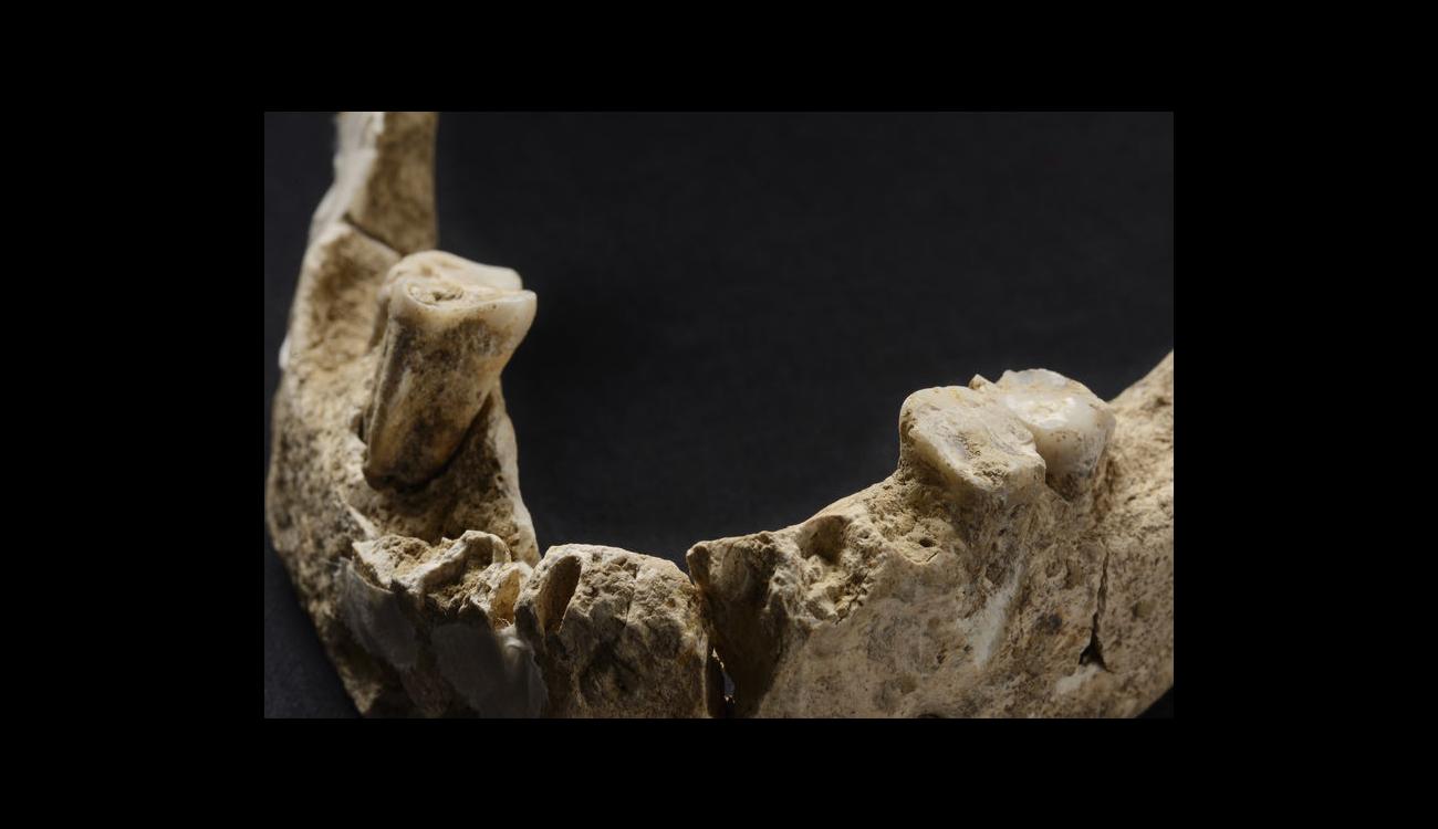 Traitement des morts Mésolithique