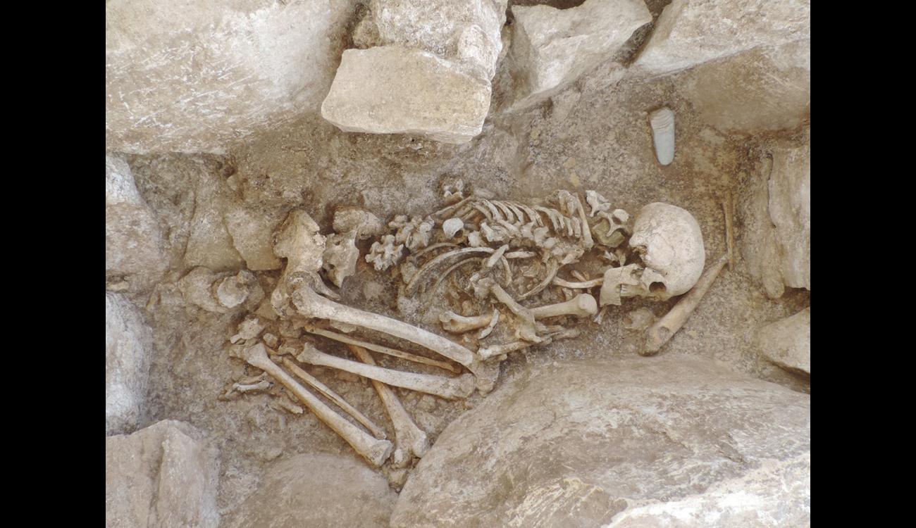 Traitement des morts Néolithique
