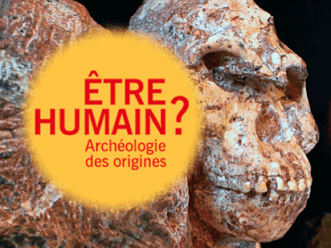 [Colloque] Etre humain : archéologie des origines			
