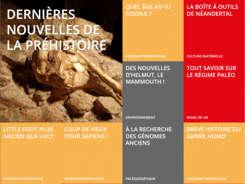 [Multimedia] Dernières nouvelles de la Préhistoire